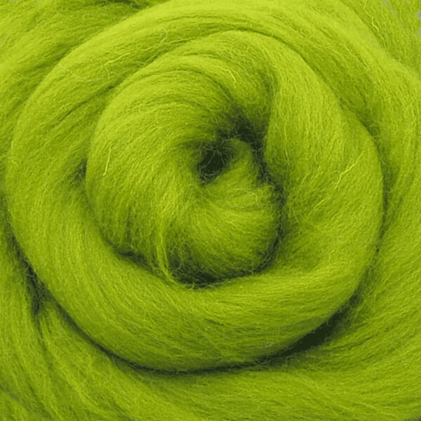 Ovčí vlna Merino česaná jemná 20 g zelená světlá 66